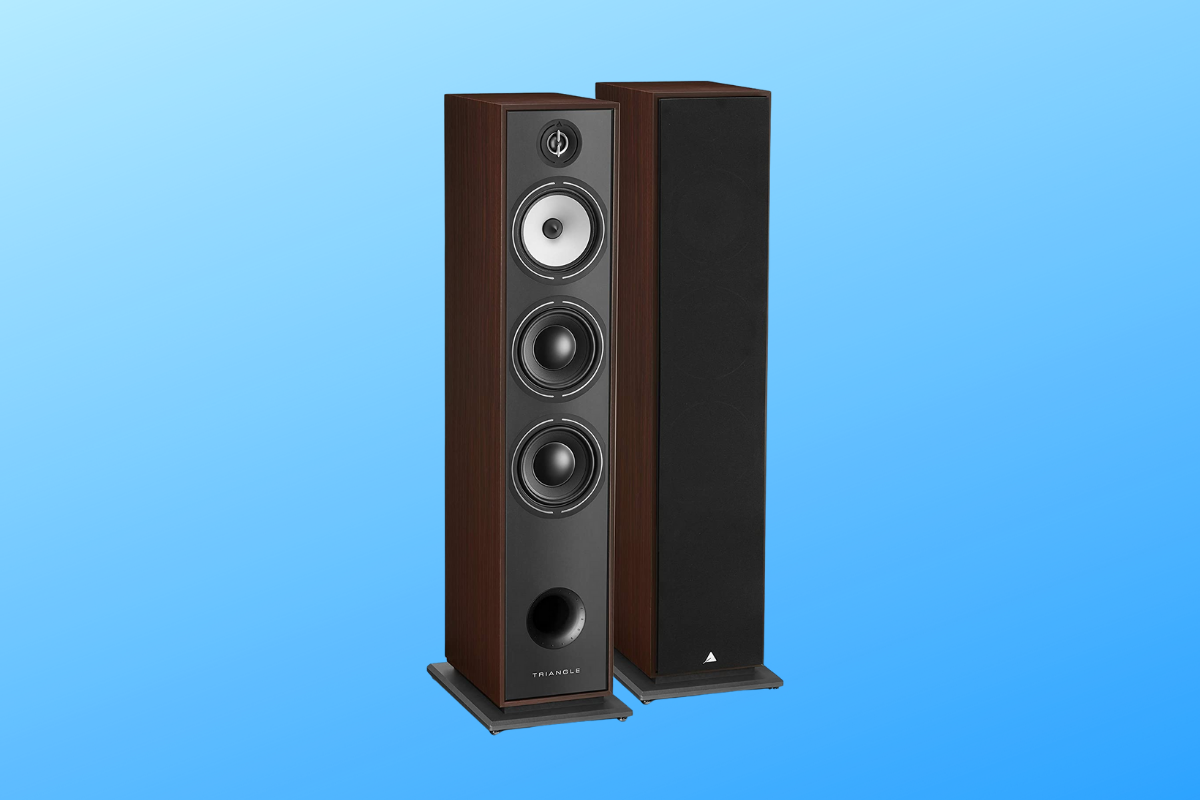 Best Floorstanding Speakers For Audiophiles On A Budget 2022 Hifi