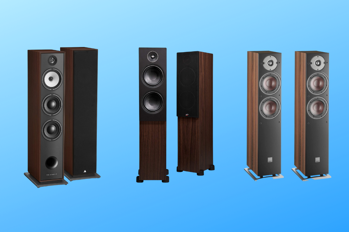 Best Floorstanding Speakers For Audiophiles On A Budget (2022)